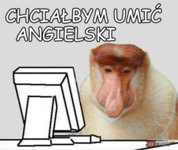 Szwecja vs. Polska-comment_02wvydoswe36fdtzq8sgnzphpbeicgla.jpg