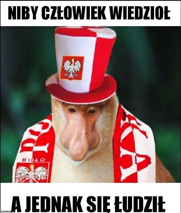 EURO 2021 - Dyskusja-6064f4d9aba83_p.jpg