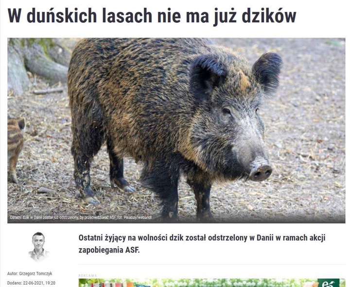 Wiadomości z kraju i ze świata-ec24375b-44b9-4d64-9bba-771f70df32da.jpeg