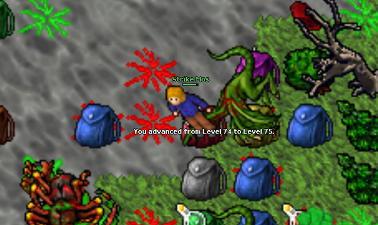 Screeny z Tibiantisa :-)-75-lvl.png