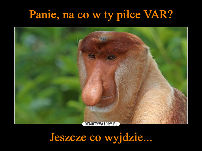 Czechy vs. Dania-1624962899_dtglfa.jpg
