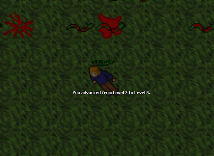 Screeny z Tibiantisa :-)-8-lvl.png