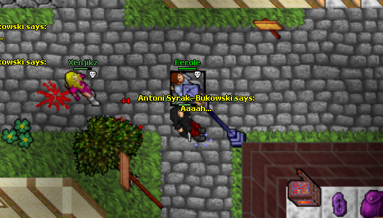 Screeny z Tibiantisa :-)-walka2.png
