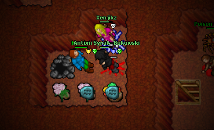 Screeny z Tibiantisa :-)-walka3.png