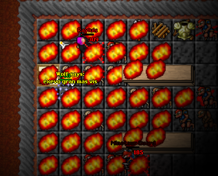 Screeny z Tibiantisa :-)-ww10.png