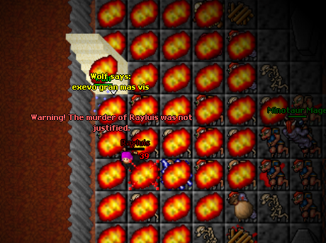 Screeny z Tibiantisa :-)-ww11.png