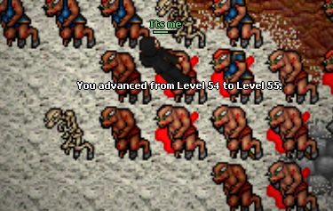 Screeny z Tibiantisa :-)-55.png