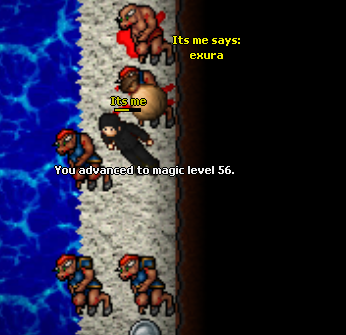 Screeny z Tibiantisa :-)-56mlev.png