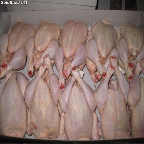 Koronawirus SARS-CoV-2 (COVID-19)-qrczak.jpg