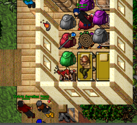 Screeny z Tibiantisa :-)-odwiedziny.png