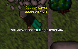 Screeny z Tibiantisa :-)-36.png