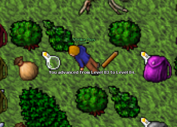 Screeny z Tibiantisa :-)-84lvl.png