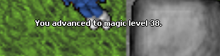 Screeny z Tibiantisa :-)-38mlv.png