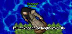 Screeny z Tibiantisa :-)-40mlvl.png