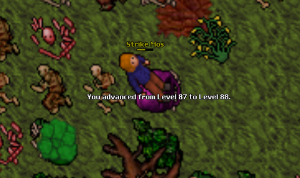 Screeny z Tibiantisa :-)-88-lvl.png