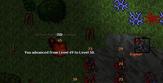 Screeny z Tibiantisa :-)-bezkarnosc.png