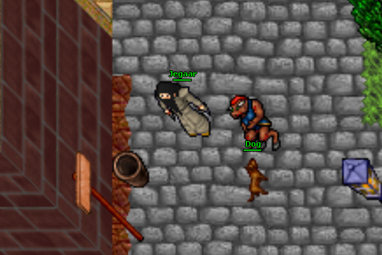 Screeny z Tibiantisa :-)-zamach-nr-3.png