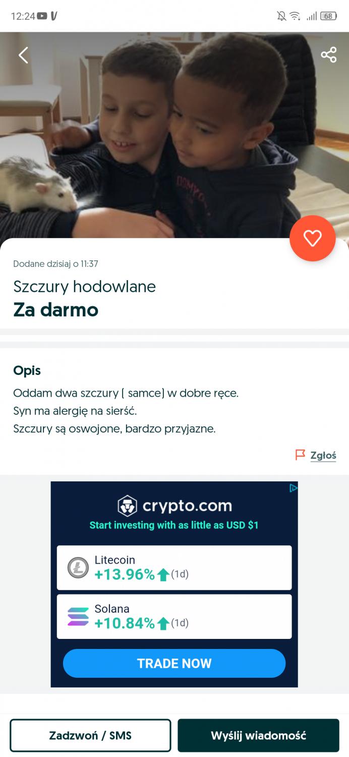 Adopcja szczura hodowlanego-screenshot_20210904_122428.jpg