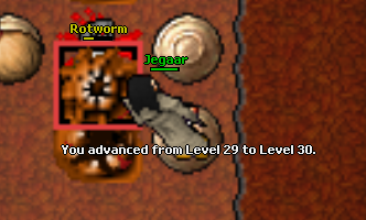 Screeny z Tibiantisa :-)-30lvl.png