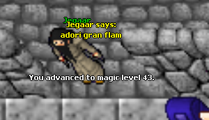 Screeny z Tibiantisa :-)-43mlvl.png