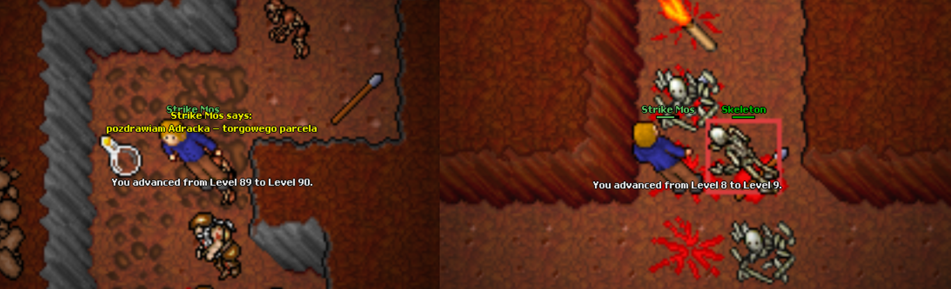 Screeny z Tibiantisa :-)-sklejka-90-lvl.png