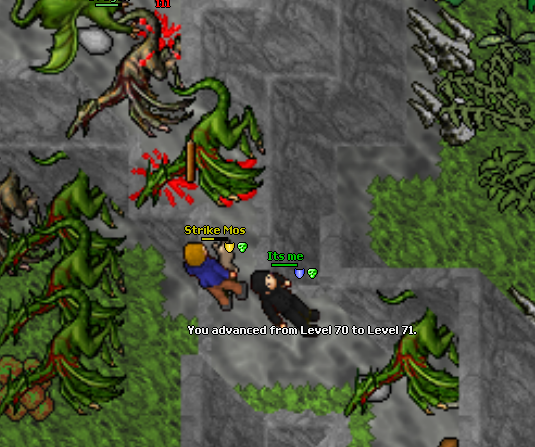 Screeny z Tibiantisa :-)-71.png