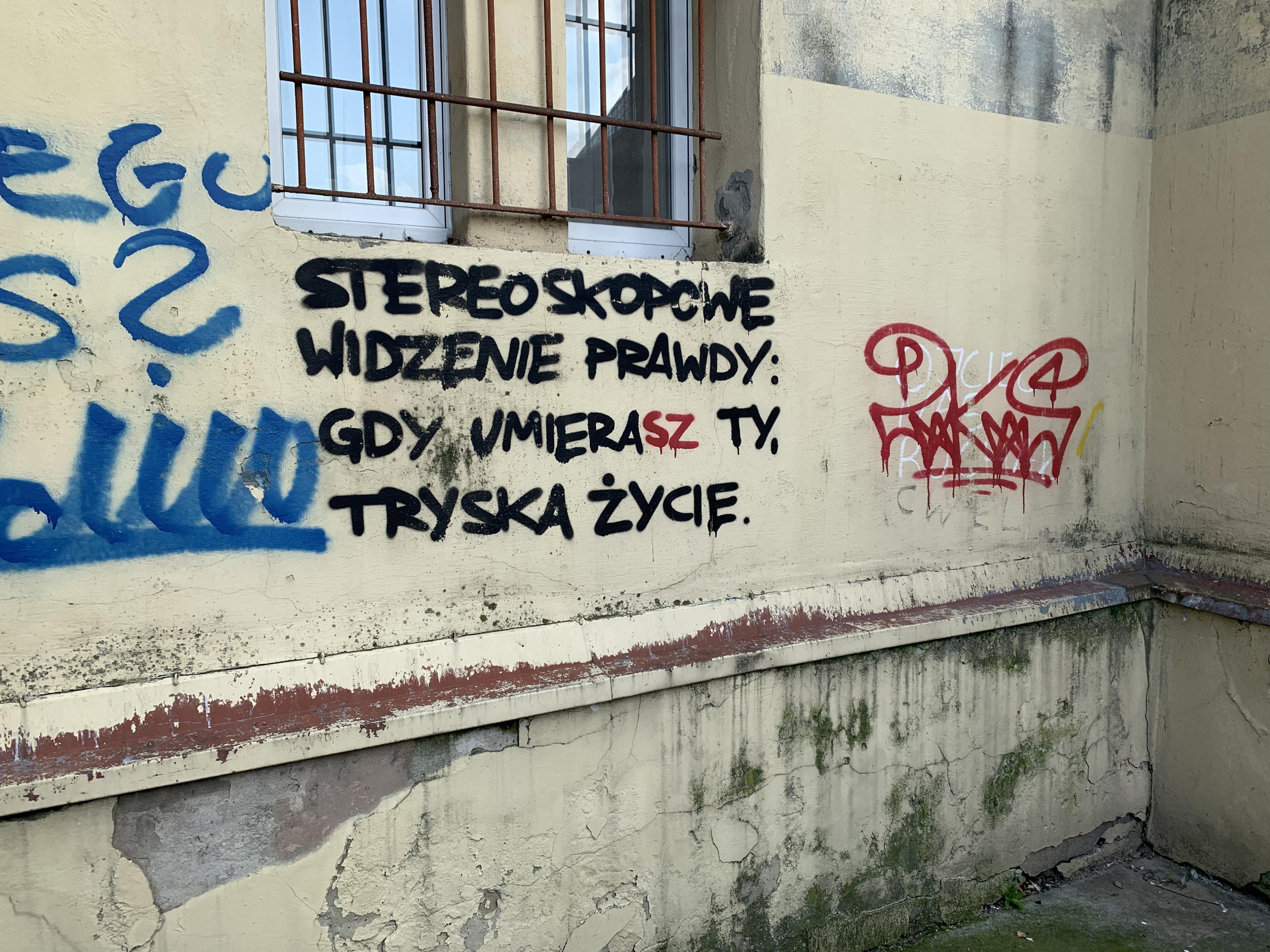 Syn Kononowicza - #Rap z Przekazem [2019-2020- ] / #Pies / #Wilk / Syn Konona-59352053-b04d-4d8e-b3f2-e8135099a315.jpg