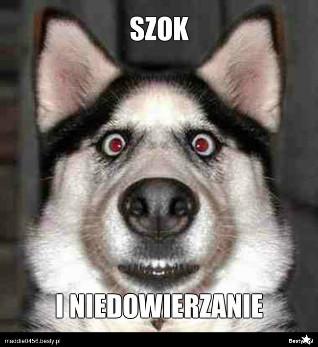 Koronawirus SARS-CoV-2 (COVID-19)-3644469.jpg