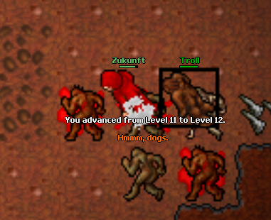 Screeny z Tibiantisa :-)-12lvl.png
