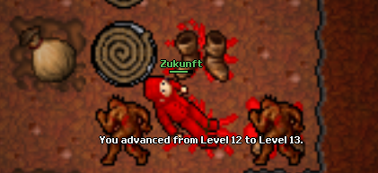 Screeny z Tibiantisa :-)-13lvl.png