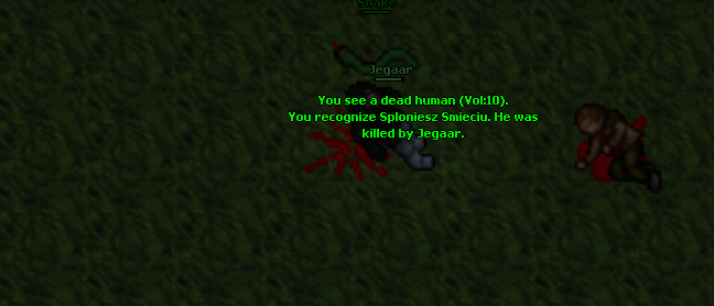 Screeny z Tibiantisa :-)-pk1.png
