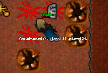 Screeny z Tibiantisa :-)-34lvl.png