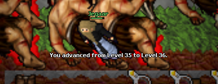 Screeny z Tibiantisa :-)-36lvl.png