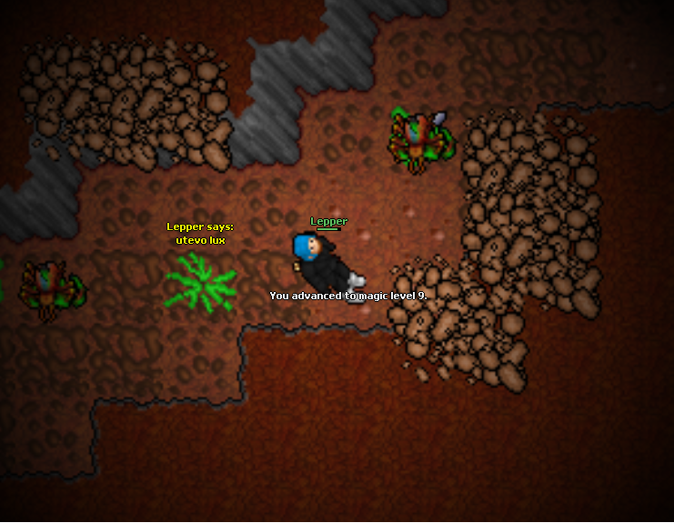 Screeny z Tibiantisa :-)-magic.png