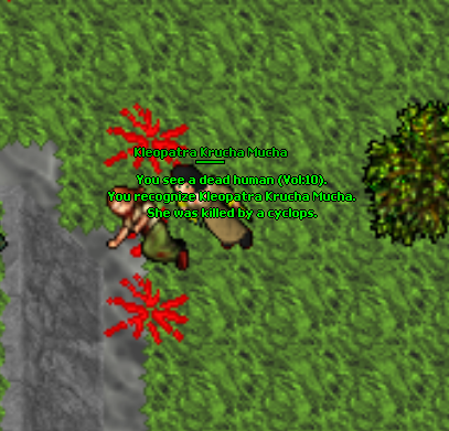 Screeny z Tibiantisa :-)-detka.png