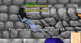 Screeny z Tibiantisa :-)-49mlvl.png