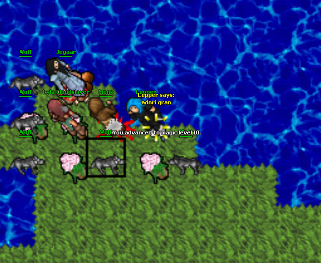 Screeny z Tibiantisa :-)-magic.png
