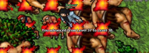 Screeny z Tibiantisa :-)-screenshot_11.png