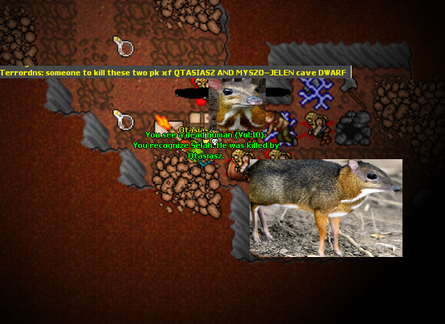 Screeny z Tibiantisa :-)-kutasekessa2.png