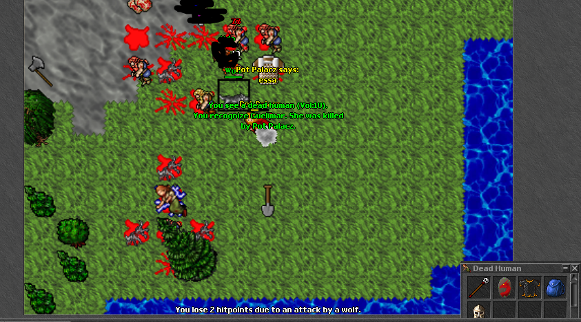 Screeny z Tibiantisa :-)-eska.png