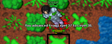 Screeny z Tibiantisa :-)-38.png