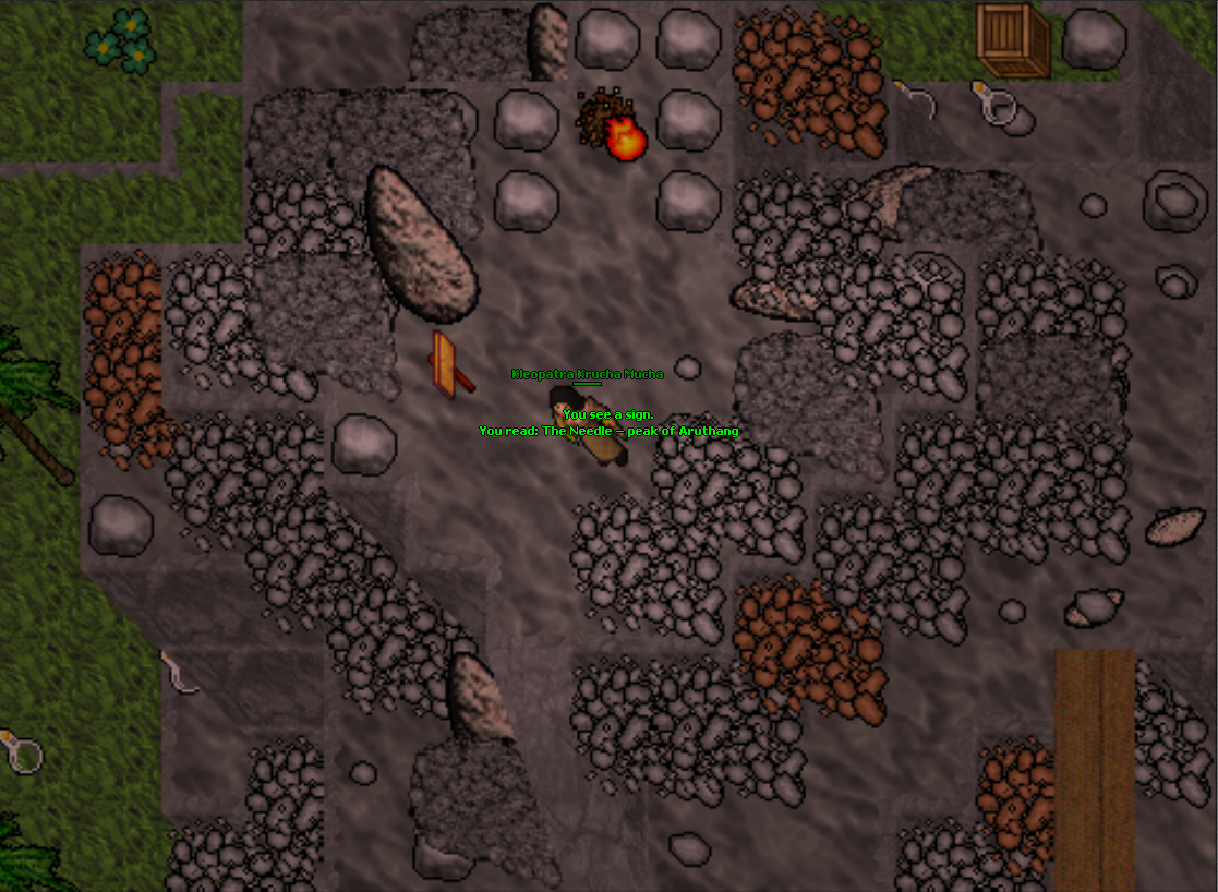 Screeny z Tibiantisa :-)-igielka.png