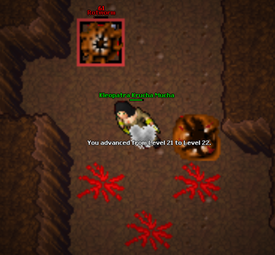 Screeny z Tibiantisa :-)-22ll.png