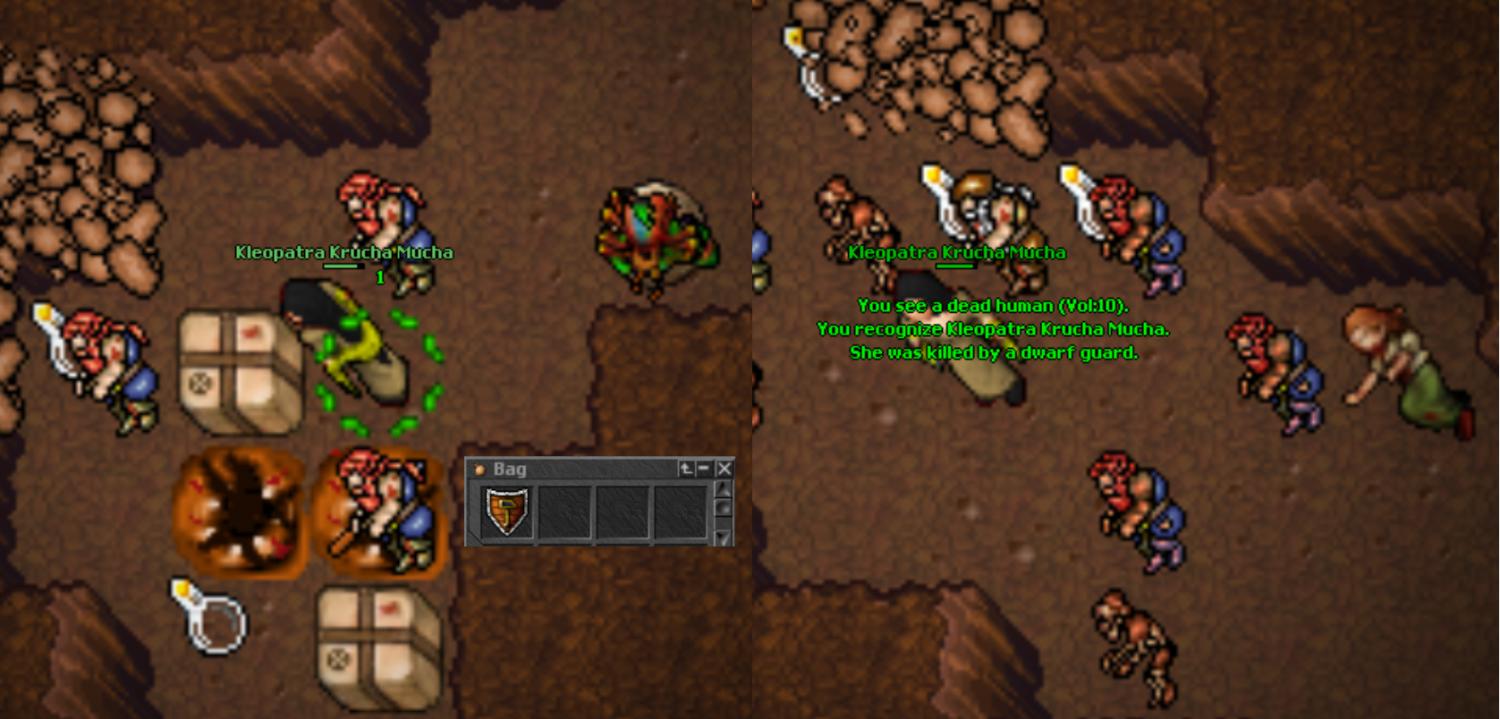 Screeny z Tibiantisa :-)-dwarvenka.jpg