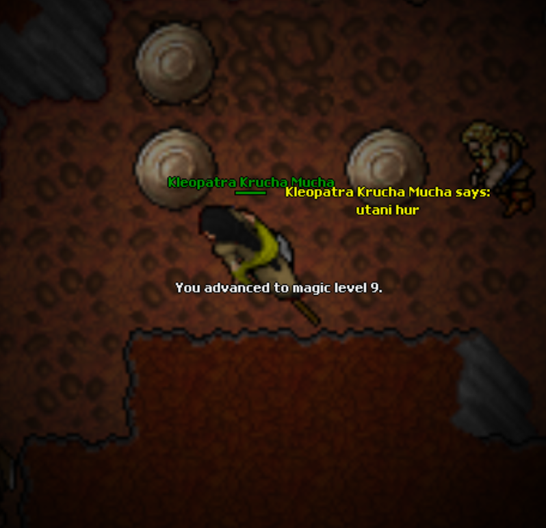 Screeny z Tibiantisa :-)-9mlvl.png