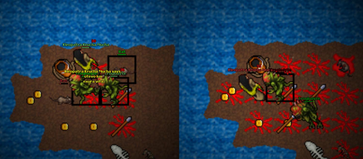 Screeny z Tibiantisa :-)-t1.jpg