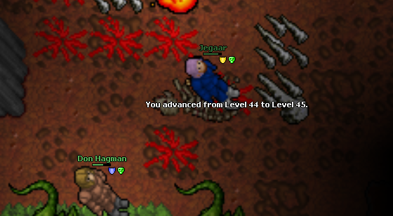 Screeny z Tibiantisa :-)-screenshot_20.png
