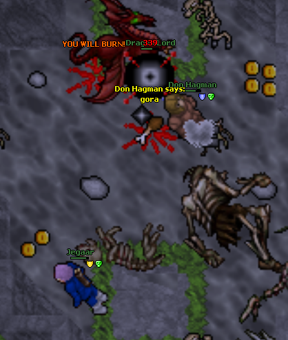Screeny z Tibiantisa :-)-screenshot_26.png
