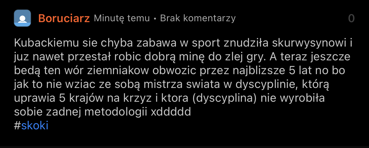 Skoki narciarskie-1143f6f2-9c03-4489-b86e-84851af8f83d.jpeg
