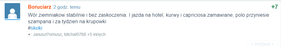 Skoki narciarskie-115boro.png